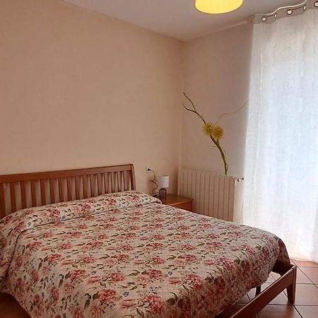 Apartment Lake Maggiore - Residence Al Poggio 特龙扎诺拉戈马焦雷 外观 照片